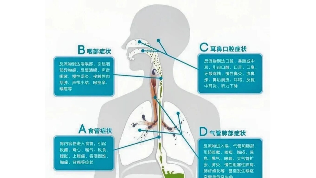盐巴戟天的作用与功效